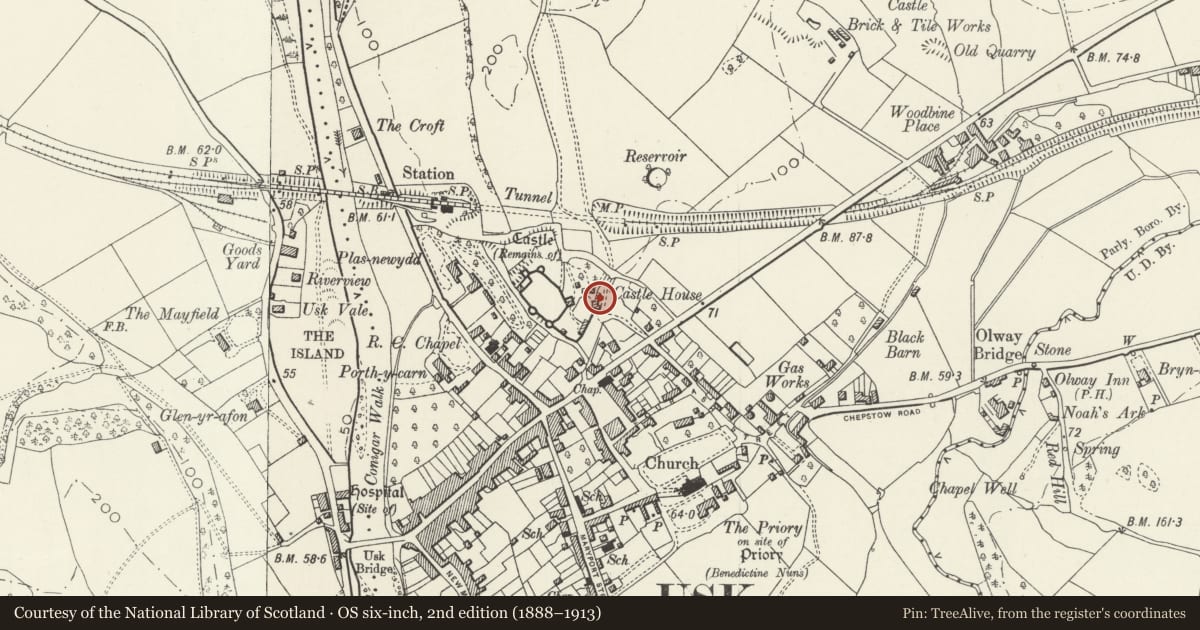 Ordnance Survey six-inch map, 2nd edition (1888–1913) covering the location of Castle House, Usk, Monmouthshire, with a pin at the register's coordinates