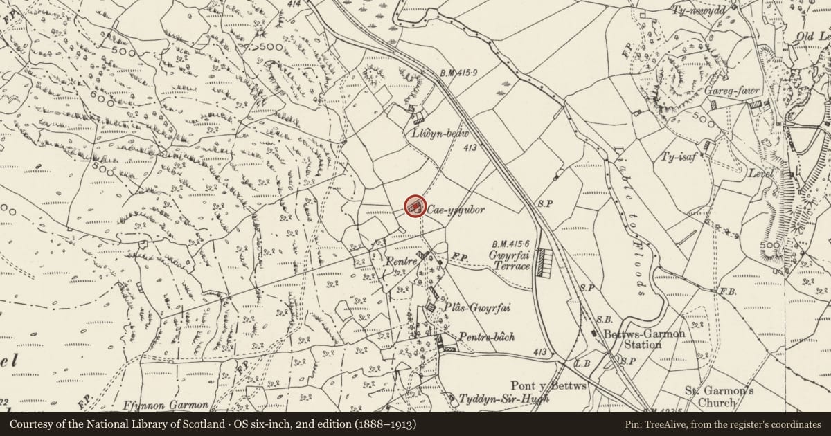 Ordnance Survey six-inch map, 2nd edition (1888–1913) covering the location of Cae-ysgubor, Betws Garmon, Gwynedd, with a pin at the register's coordinates