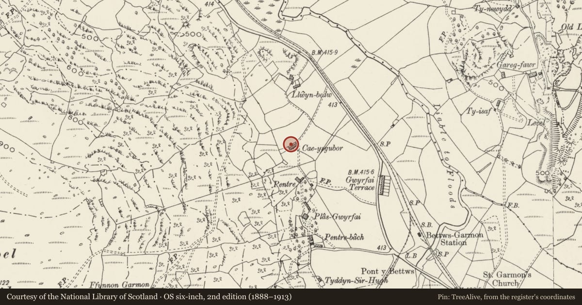 Ordnance Survey six-inch map, 2nd edition (1888–1913) covering the location of Detached Kitchen/Washhouse at Cae-ysgubor, Betws Garmon, Gwynedd, with a pin at the register's coordinates
