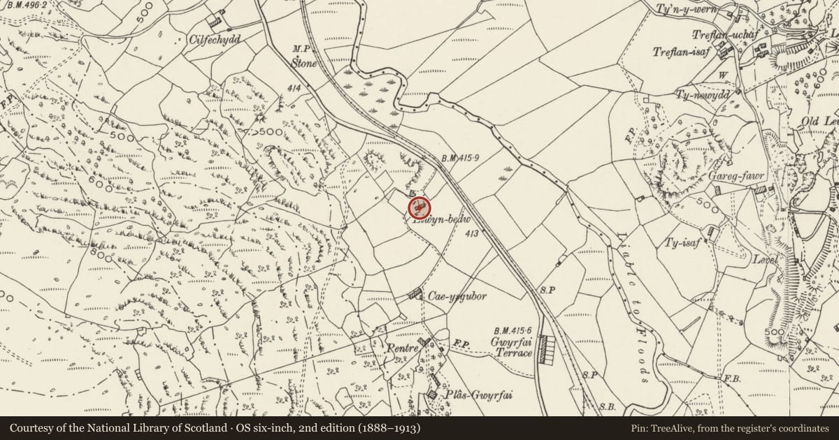 Ordnance Survey six-inch map, 2nd edition (1888–1913) covering the location of Cowhouse to South-east of Llwyn-bedw, Betws Garmon, Gwynedd, with a pin at the register's coordinates