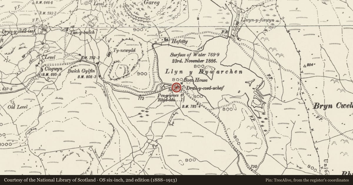Ordnance Survey six-inch map, 2nd edition (1888–1913) covering the location of Milestone, Betws Garmon, Gwynedd, with a pin at the register's coordinates