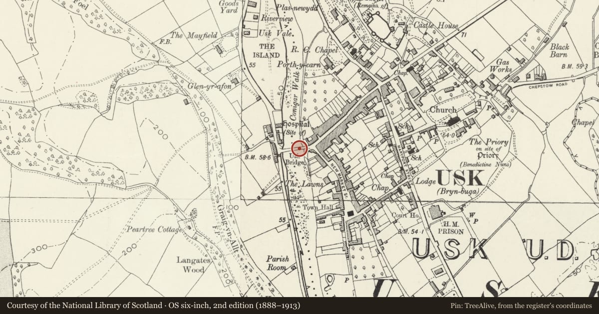 Ordnance Survey six-inch map, 2nd edition (1888–1913) covering the location of Usk Bridge (partly in Llanbadoc Community), Monmouthshire, with a pin at the register's coordinates