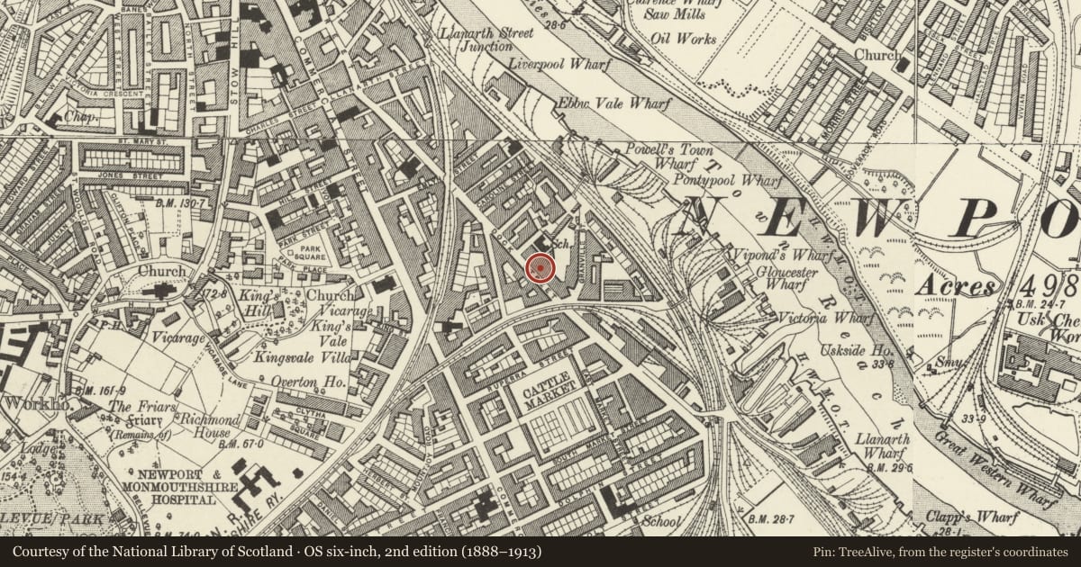 Ordnance Survey six-inch map, 2nd edition (1888–1913) covering the location of Old Custom House (Celtic Displays), Stow Hill, Newport, with a pin at the register's coordinates