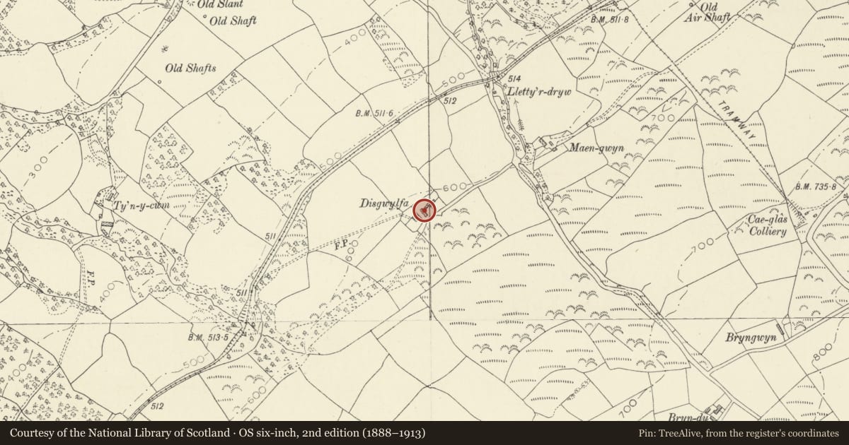 Ordnance Survey six-inch map, 2nd edition (1888–1913) covering the location of Disgwylfa farmhouse, Pontyberem, Carmarthenshire, with a pin at the register's coordinates