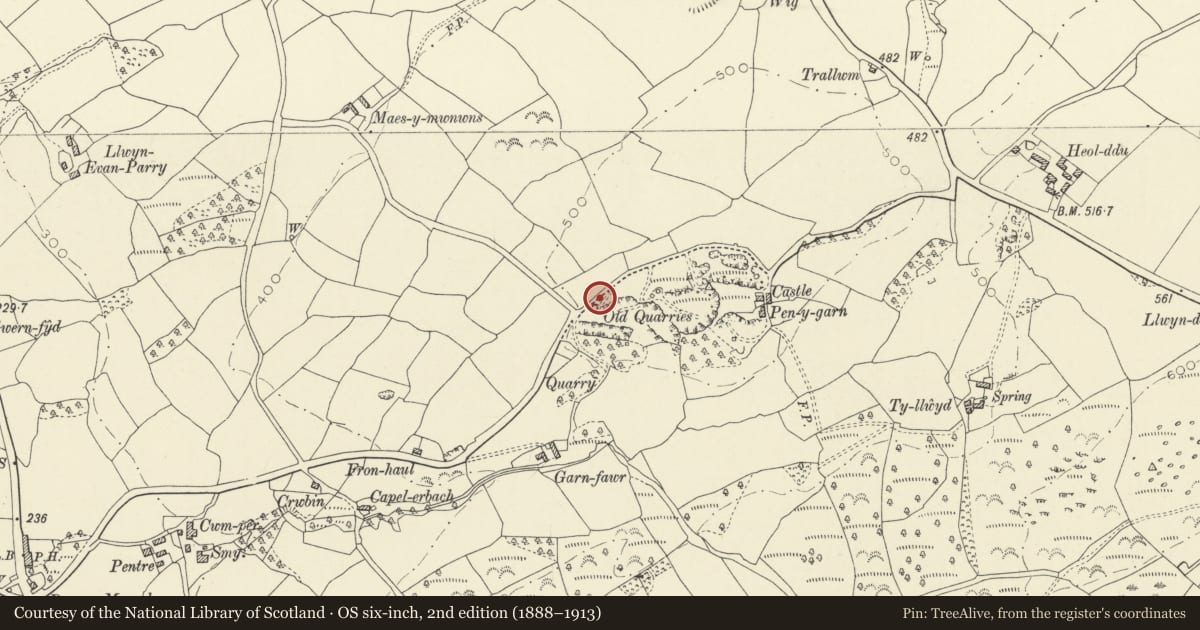 Ordnance Survey six-inch map, 2nd edition (1888–1913) covering the location of Roadside Limekiln at Castle Quarry, Gorslas, Carmarthenshire, with a pin at the register's coordinates