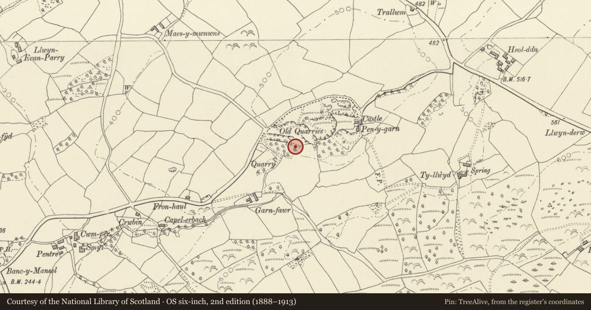 Ordnance Survey six-inch map, 2nd edition (1888–1913) covering the location of Limekiln at the south-west of Castle Quarry, Gorslas, Carmarthenshire, with a pin at the register's coordinates