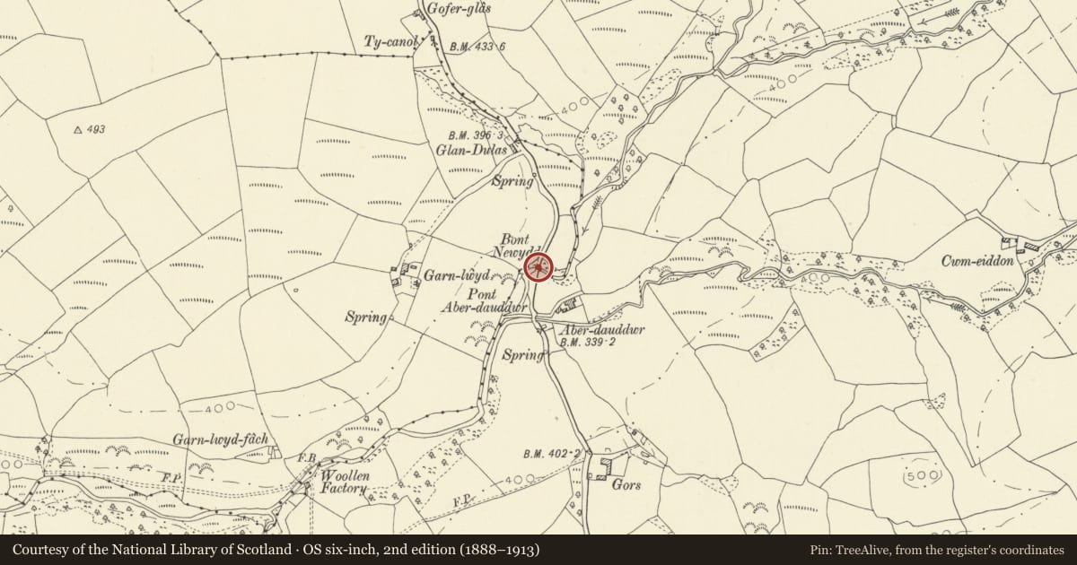 Ordnance Survey six-inch map, 2nd edition (1888–1913) covering the location of Bont Newydd, Gorslas, Carmarthenshire, with a pin at the register's coordinates