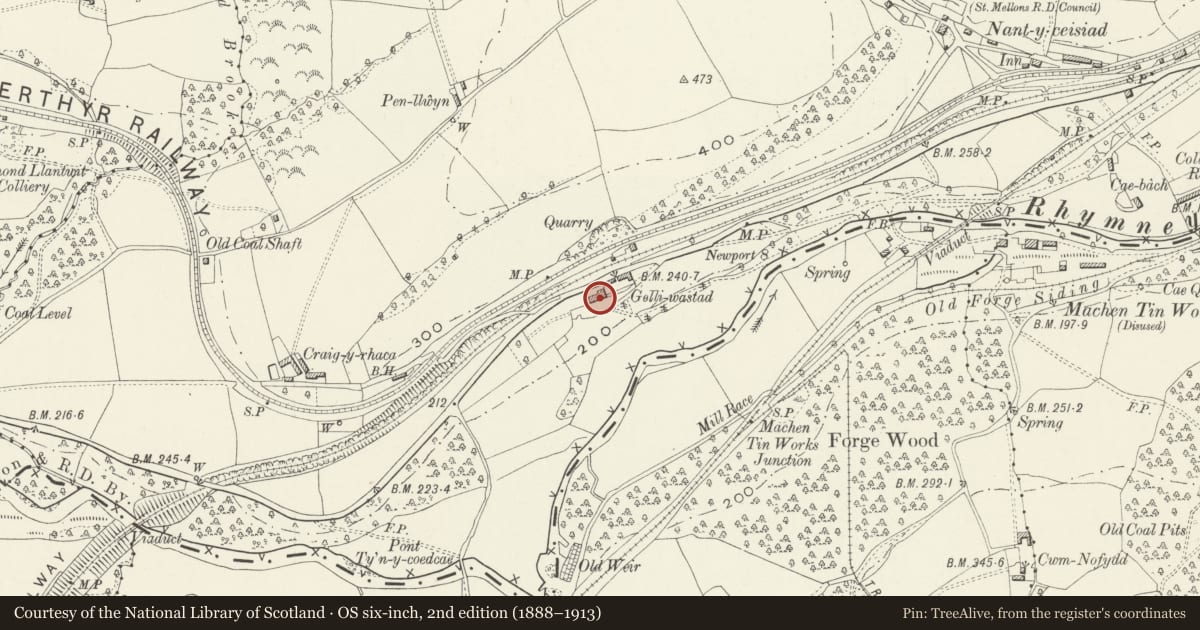 Ordnance Survey six-inch map, 2nd edition (1888–1913) covering the location of Gelli Wastad, Bedwas, Trethomas and Machen, Caerphilly, with a pin at the register's coordinates