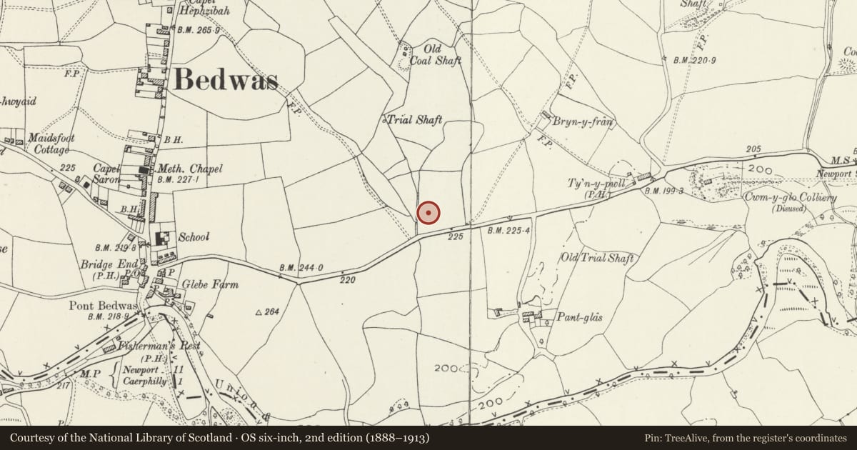 Ordnance Survey six-inch map, 2nd edition (1888–1913) covering the location of Bedwas Workmen's Hall and Institute, Bedwas, Trethomas and Machen, Caerphilly, with a pin at the register's coordinates