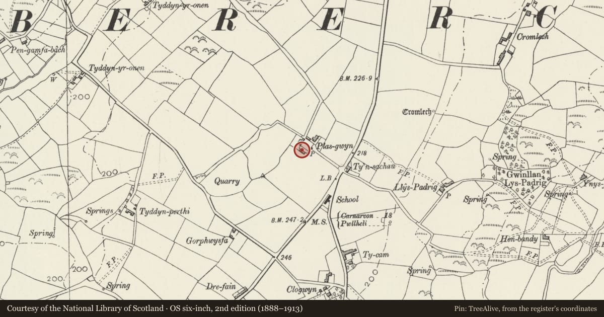Ordnance Survey six-inch map, 2nd edition (1888–1913) covering the location of Hammel Range at Plas-gwyn, Llannor, Gwynedd, with a pin at the register's coordinates