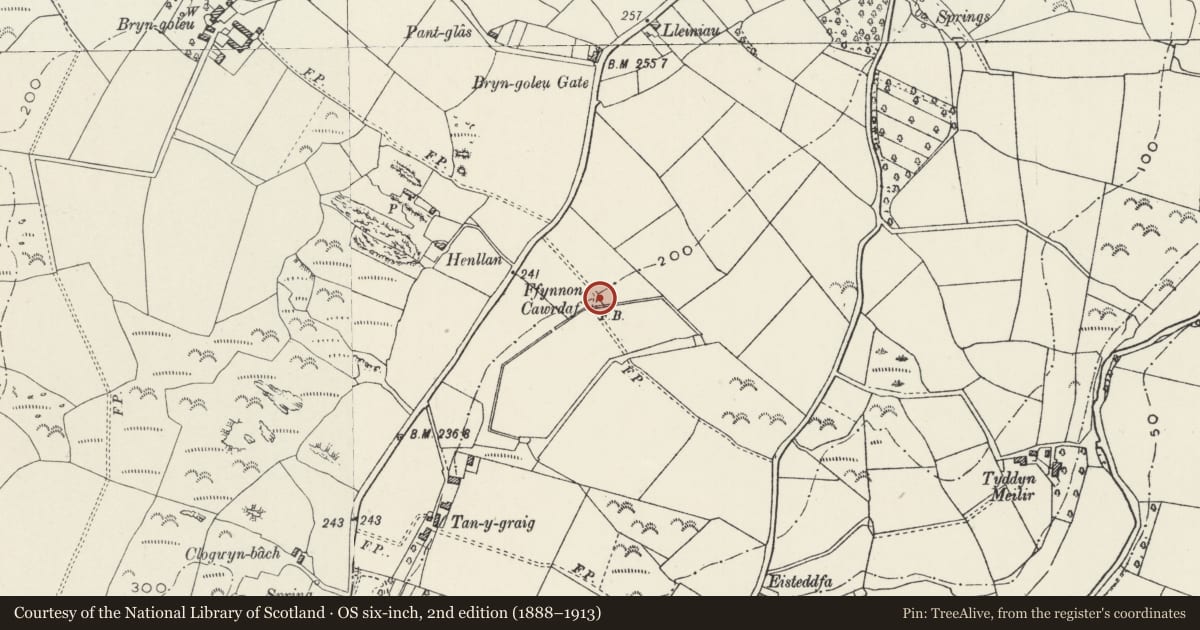 Ordnance Survey six-inch map, 2nd edition (1888–1913) covering the location of Ffynnon Cawrdaf, Llannor, Gwynedd, with a pin at the register's coordinates