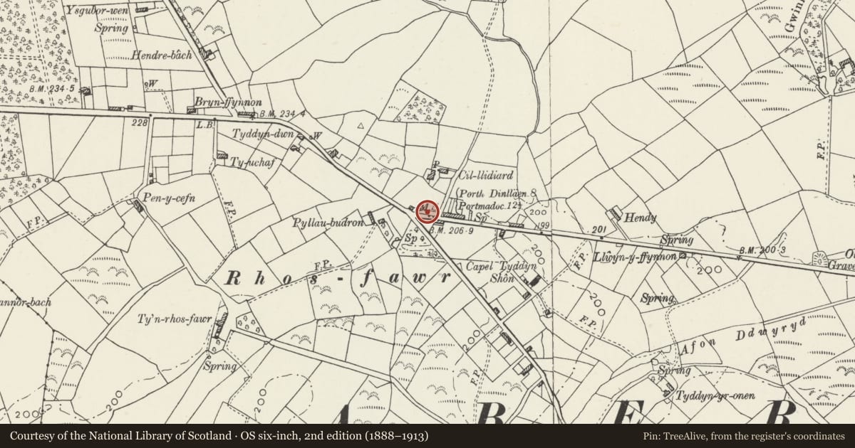 Ordnance Survey six-inch map, 2nd edition (1888–1913) covering the location of Milestone, Llannor, Gwynedd, with a pin at the register's coordinates