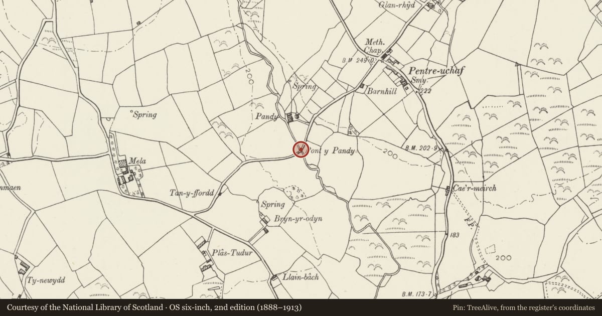 Ordnance Survey six-inch map, 2nd edition (1888–1913) covering the location of Pont-y-pandy and causeway, Llannor, Gwynedd, with a pin at the register's coordinates