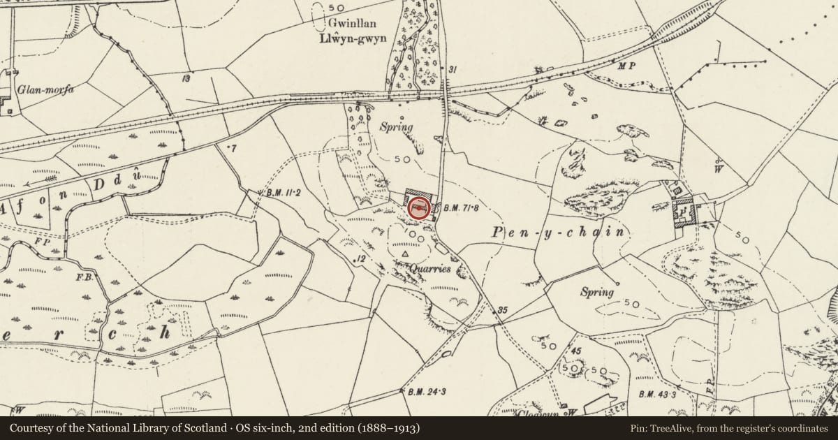 Ordnance Survey six-inch map, 2nd edition (1888–1913) covering the location of S Range of Farm Buildings at Penychain, Llannor, Gwynedd, with a pin at the register's coordinates