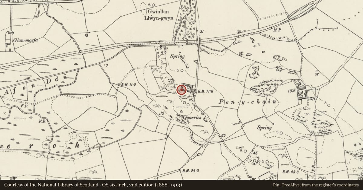 Ordnance Survey six-inch map, 2nd edition (1888–1913) covering the location of Stables with Granary, Cartshed and Farmyard Entrance Piers at Penychain, Llannor, Gwynedd, with a pin at the register's coordinates