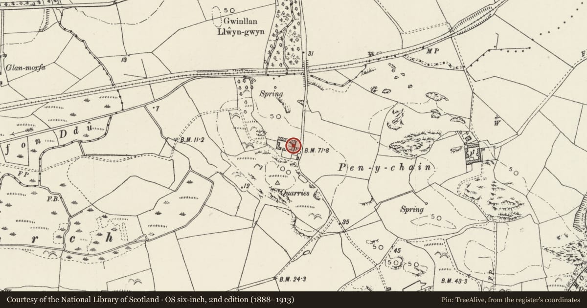 Ordnance Survey six-inch map, 2nd edition (1888–1913) covering the location of Piggery at Penychain, Llannor, Gwynedd, with a pin at the register's coordinates