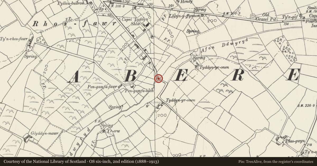 Ordnance Survey six-inch map, 2nd edition (1888–1913) covering the location of Bridge at Tyddyn Rhoddyn, Llannor, Gwynedd, with a pin at the register's coordinates