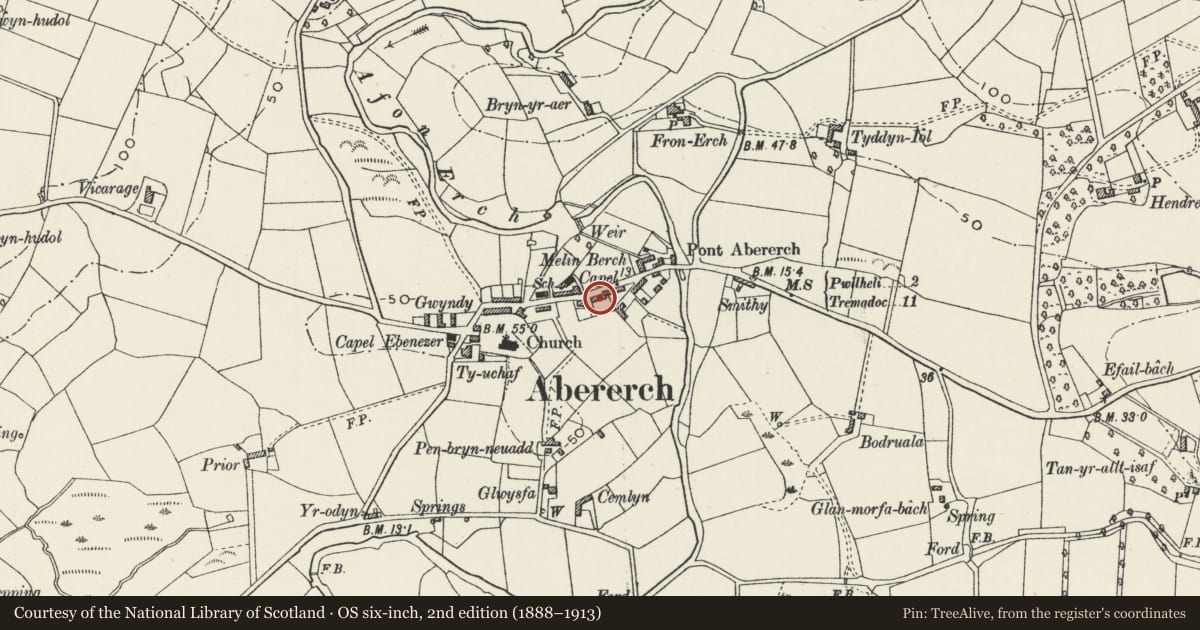 Ordnance Survey six-inch map, 2nd edition (1888–1913) covering the location of 17 New Row, Llannor, Gwynedd, with a pin at the register's coordinates