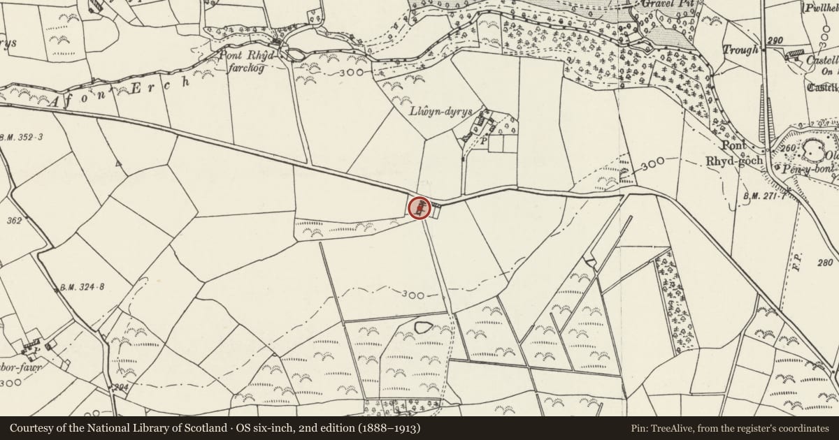 Ordnance Survey six-inch map, 2nd edition (1888–1913) covering the location of Farm Building at Llwyndyrus, Llannor, Gwynedd, with a pin at the register's coordinates