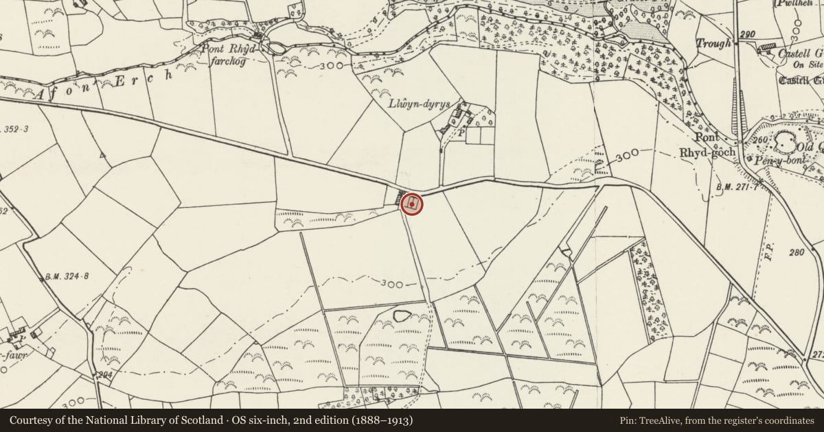 Ordnance Survey six-inch map, 2nd edition (1888–1913) covering the location of Cowhouse and Barn Range at Llwyndyrus, Llannor, Gwynedd, with a pin at the register's coordinates