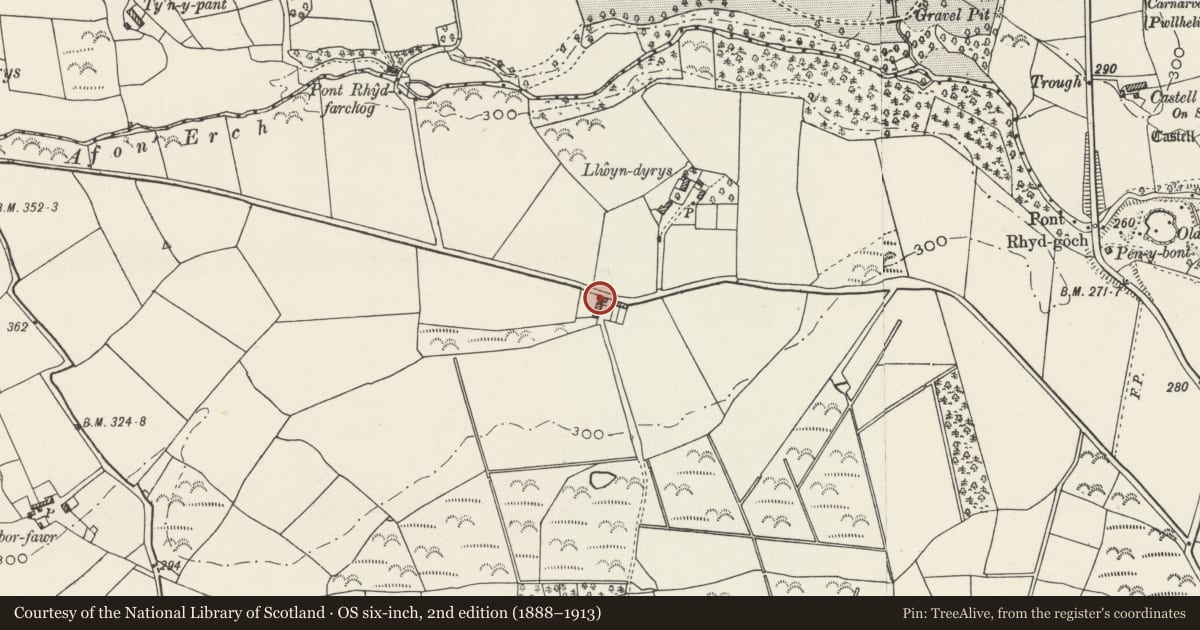 Ordnance Survey six-inch map, 2nd edition (1888–1913) covering the location of Hammel Range at Llwyndyrus, Llannor, Gwynedd, with a pin at the register's coordinates