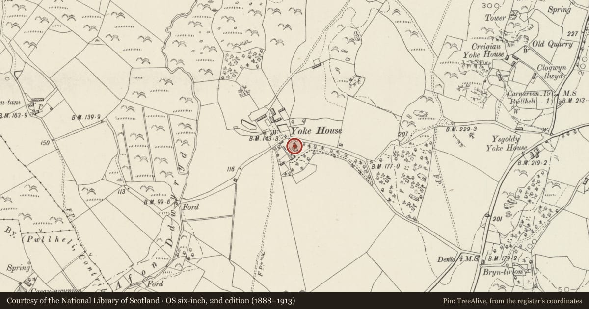 Ordnance Survey six-inch map, 2nd edition (1888–1913) covering the location of Stable and Gig-house Range at Ty Iocws, Llannor, Gwynedd, with a pin at the register's coordinates