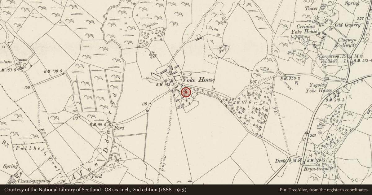 Ordnance Survey six-inch map, 2nd edition (1888–1913) covering the location of Carthouse at Ty Iocws, Llannor, Gwynedd, with a pin at the register's coordinates