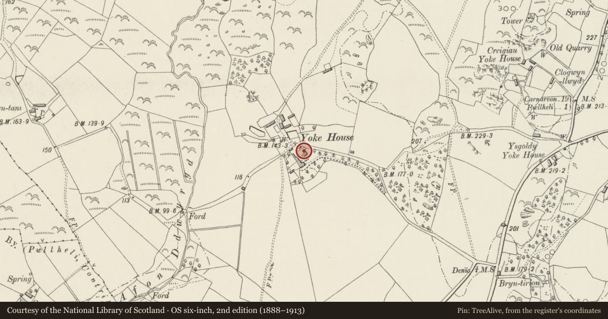 Ordnance Survey six-inch map, 2nd edition (1888–1913) covering the location of Pig-swill House at Ty Iocws, Llannor, Gwynedd, with a pin at the register's coordinates