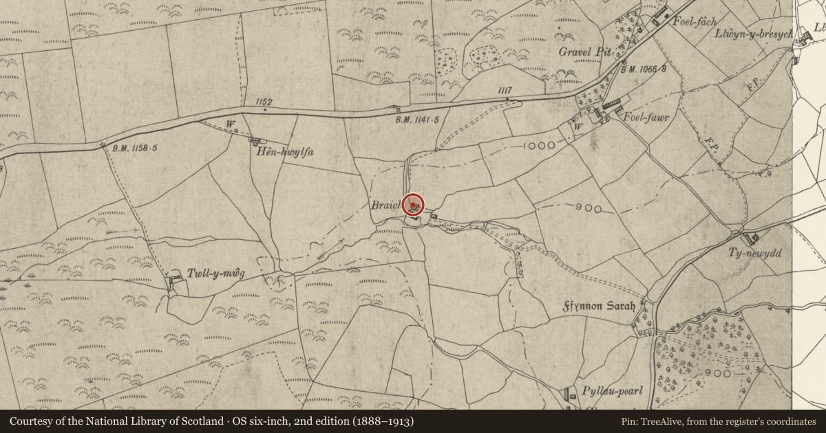 Ordnance Survey six-inch map, 2nd edition (1888–1913) covering the location of Braich, Derwen, Denbighshire, with a pin at the register's coordinates