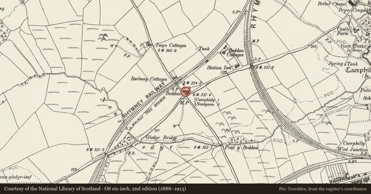 Ordnance Survey six-inch map, 2nd edition (1888–1913) covering the location of Farm Range with Bee-boles at Beddau Farmhouse, Caerphilly, with a pin at the register's coordinates