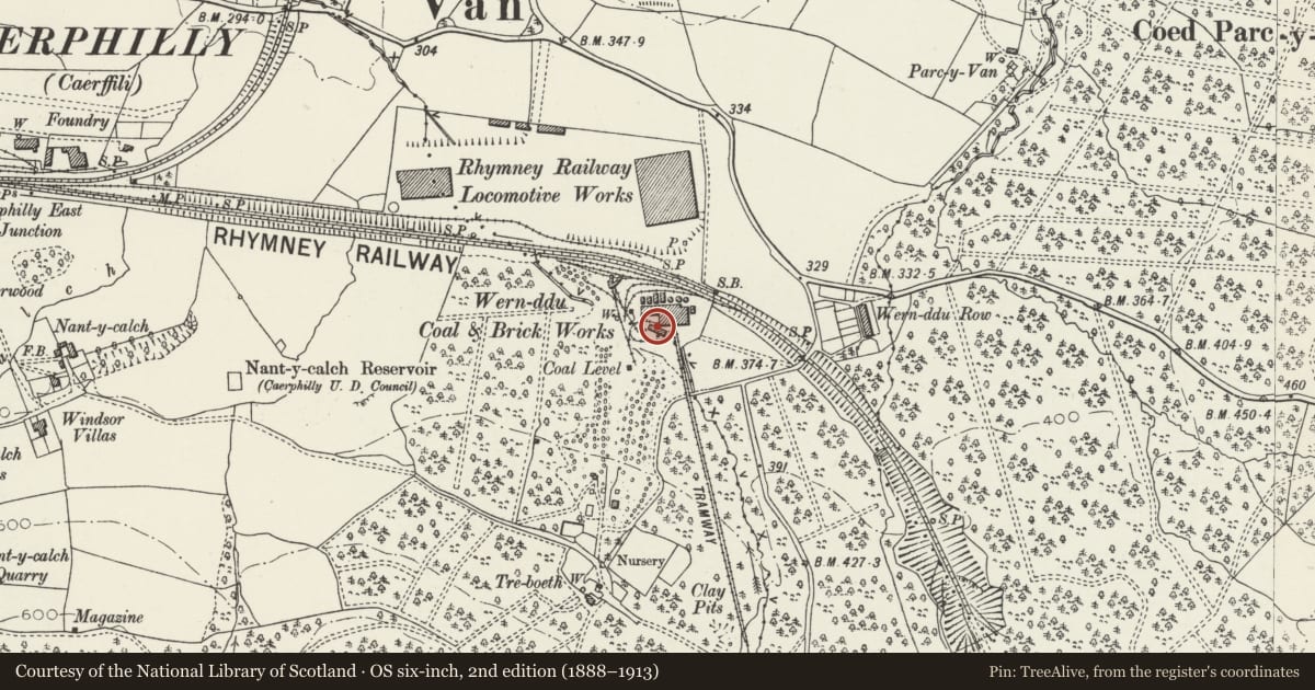 Ordnance Survey six-inch map, 2nd edition (1888–1913) covering the location of Brick stack at Wernddu, Caerphilly, with a pin at the register's coordinates