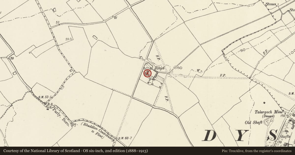 Ordnance Survey six-inch map, 2nd edition (1888–1913) covering the location of South Agricultural Range at Rhyd Farm, Dyserth, Denbighshire, with a pin at the register's coordinates