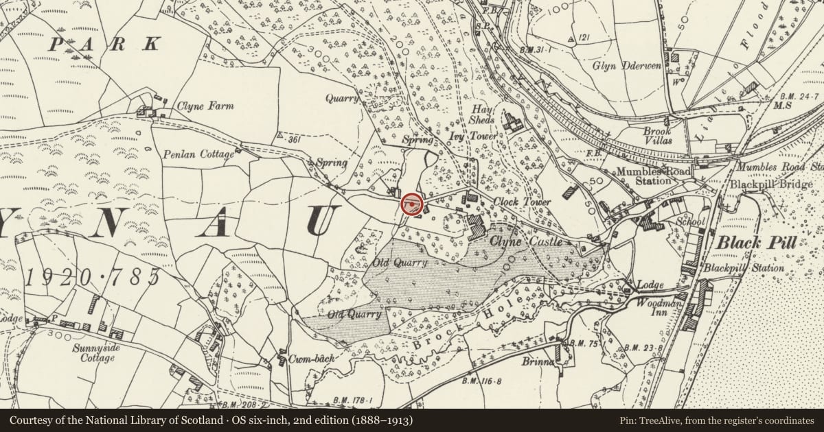 Ordnance Survey six-inch map, 2nd edition (1888–1913) covering the location of Clyne Gardens Glass Houses, Mumbles, Swansea, with a pin at the register's coordinates