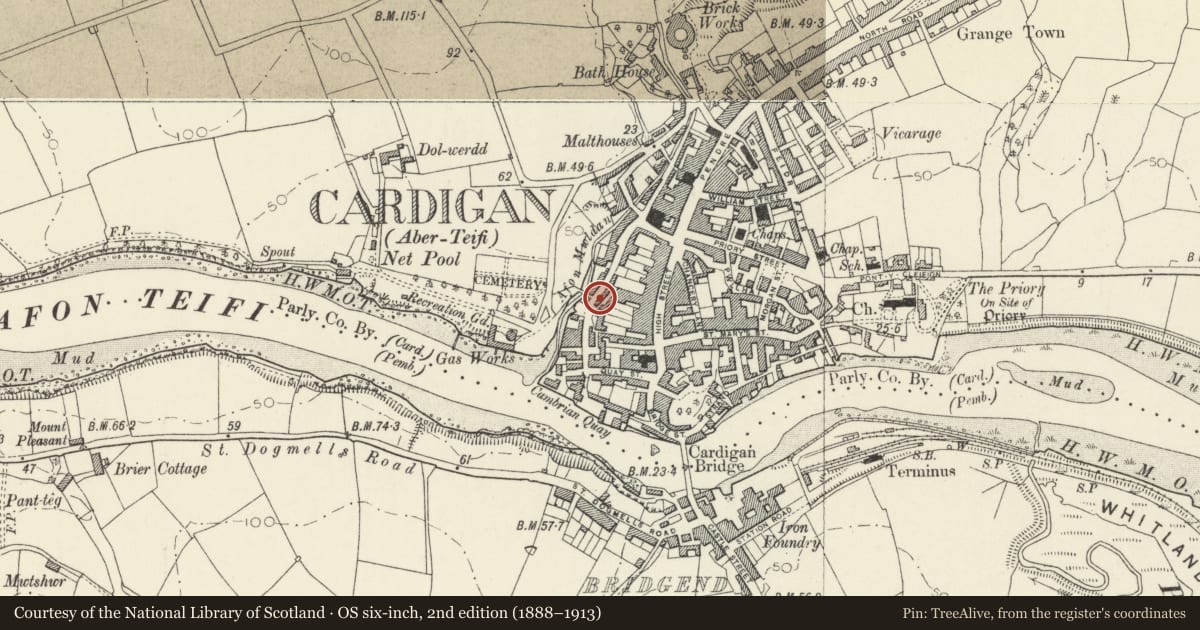 Ordnance Survey six-inch map, 2nd edition (1888–1913) covering the location of Old Sail Loft (Drawbridge Warehouse), Cardigan, Ceredigion, with a pin at the register's coordinates