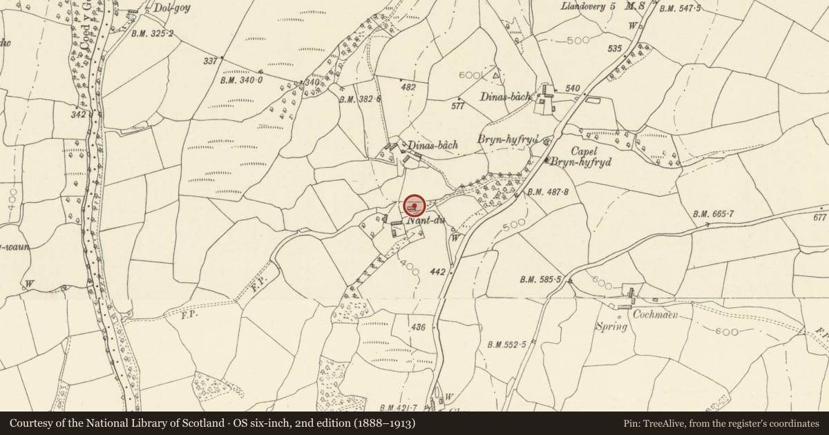 Ordnance Survey six-inch map, 2nd edition (1888–1913) covering the location of Nantddu, Llanfair-ar-y-Bryn, Carmarthenshire, with a pin at the register's coordinates