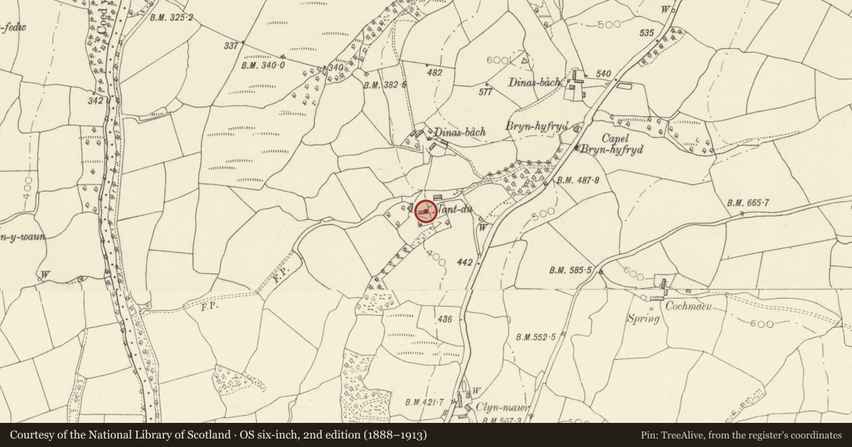 Ordnance Survey six-inch map, 2nd edition (1888–1913) covering the location of Barn at Nantddu, Llanfair-ar-y-Bryn, Carmarthenshire, with a pin at the register's coordinates
