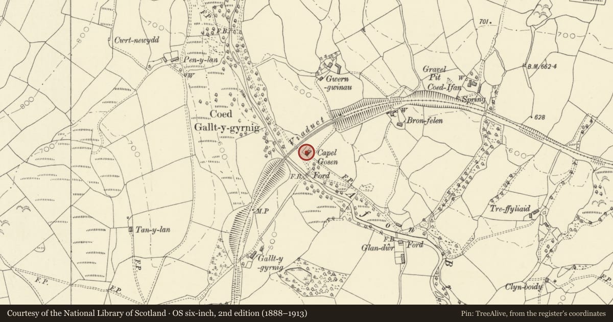 Ordnance Survey six-inch map, 2nd edition (1888–1913) covering the location of Capel Gosen, Llanfair-ar-y-Bryn, Carmarthenshire, with a pin at the register's coordinates