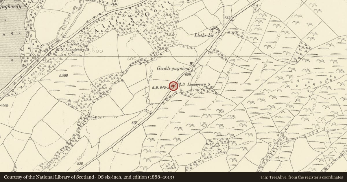 Ordnance Survey six-inch map, 2nd edition (1888–1913) covering the location of Milestone 170m W of Gerddigwynin, Llanfair-ar-y-Bryn, Carmarthenshire, with a pin at the register's coordinates