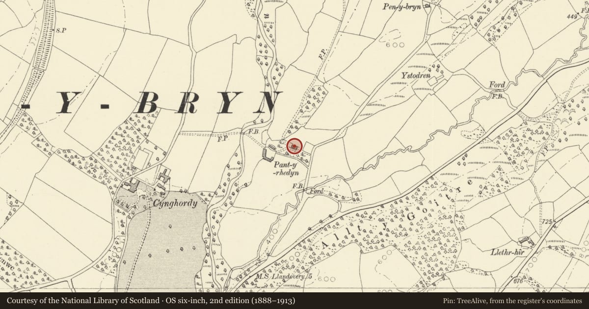 Ordnance Survey six-inch map, 2nd edition (1888–1913) covering the location of Pantyrhedyn, Llanfair-ar-y-Bryn, Carmarthenshire, with a pin at the register's coordinates