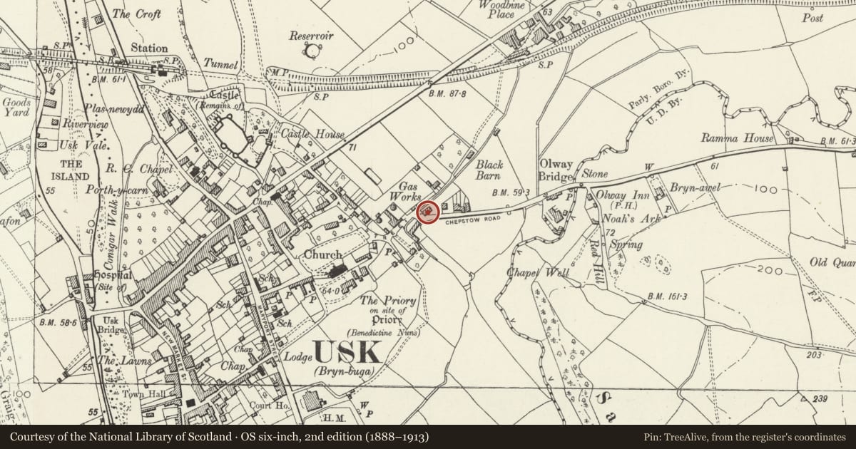Ordnance Survey six-inch map, 2nd edition (1888–1913) covering the location of The Greyhound Inn, Usk, Monmouthshire, with a pin at the register's coordinates
