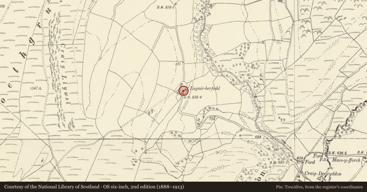 Ordnance Survey six-inch map, 2nd edition (1888–1913) covering the location of Esgair Berfedd, Llanfair-ar-y-Bryn, Carmarthenshire, with a pin at the register's coordinates