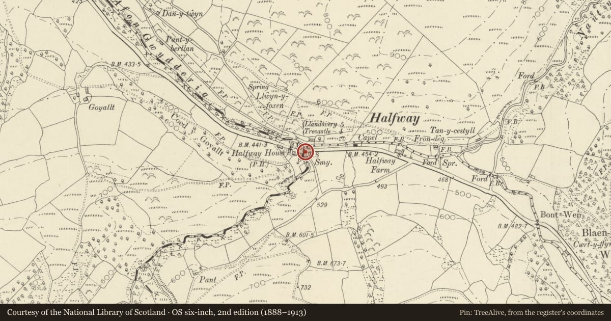 Ordnance Survey six-inch map, 2nd edition (1888–1913) covering the location of Boundary stone on bridge, Llanfair-ar-y-Bryn, Carmarthenshire, with a pin at the register's coordinates
