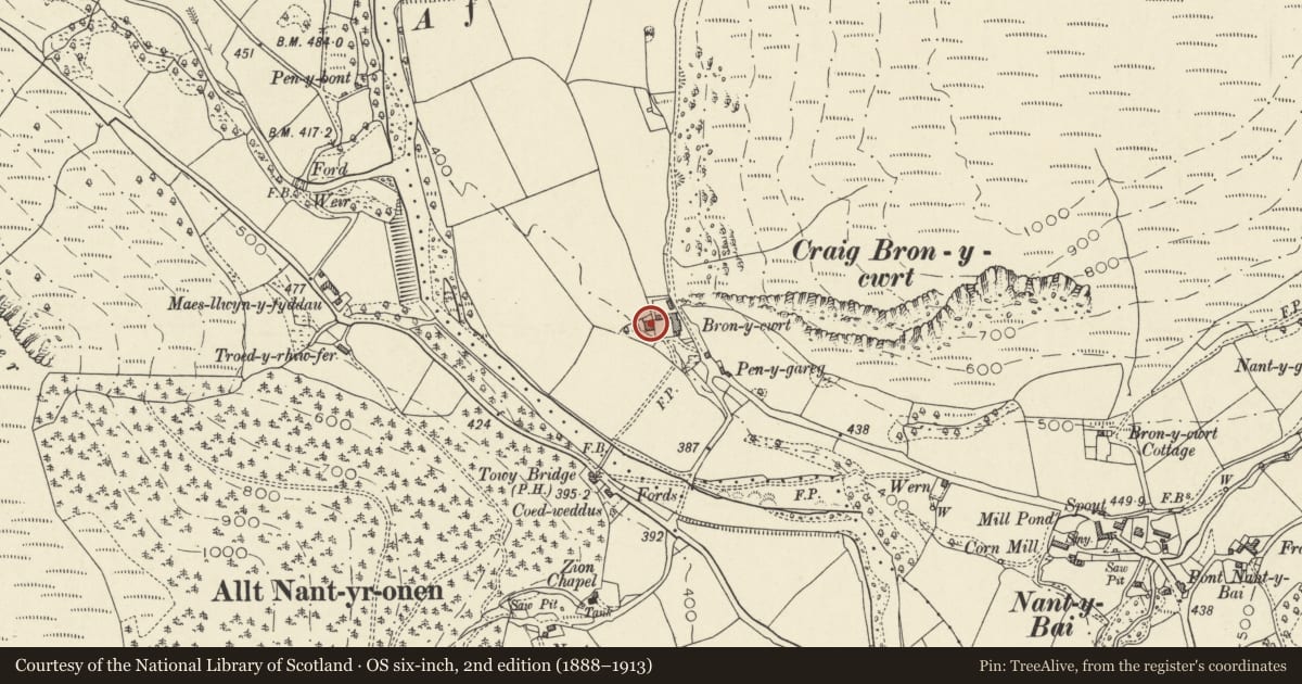 Ordnance Survey six-inch map, 2nd edition (1888–1913) covering the location of Broncwrt, Llanfair-ar-y-Bryn, Carmarthenshire, with a pin at the register's coordinates