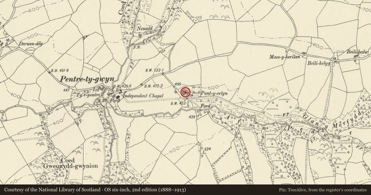 Ordnance Survey six-inch map, 2nd edition (1888–1913) covering the location of Outbuilding on N side of yard at Pantycelyn, Llanfair-ar-y-Bryn, Carmarthenshire, with a pin at the register's coordinates
