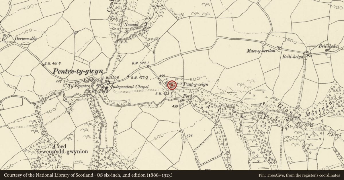 Ordnance Survey six-inch map, 2nd edition (1888–1913) covering the location of Outbuilding on the E side of the yard at Pantycelyn, Llanfair-ar-y-Bryn, Carmarthenshire, with a pin at the register's coordinates