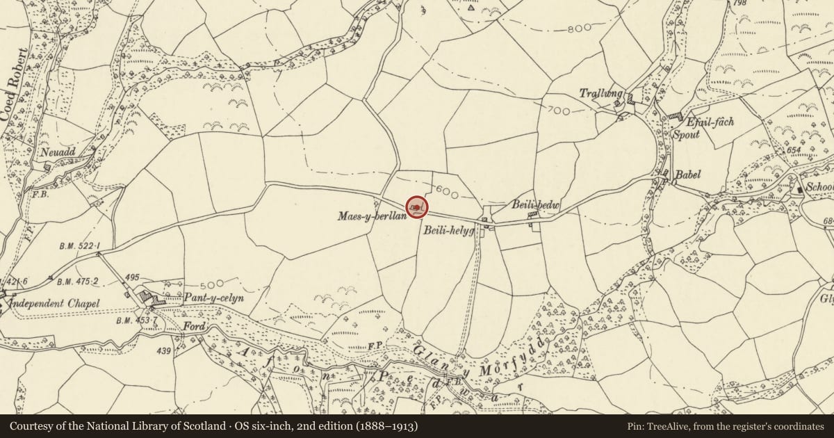 Ordnance Survey six-inch map, 2nd edition (1888–1913) covering the location of Maesyberllan, Llanfair-ar-y-Bryn, Carmarthenshire, with a pin at the register's coordinates
