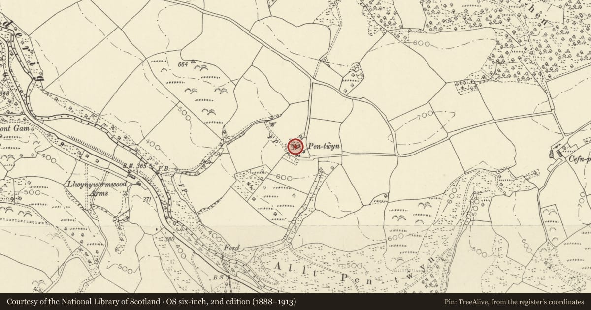 Ordnance Survey six-inch map, 2nd edition (1888–1913) covering the location of Pentwyn, Llanfair-ar-y-Bryn, Carmarthenshire, with a pin at the register's coordinates