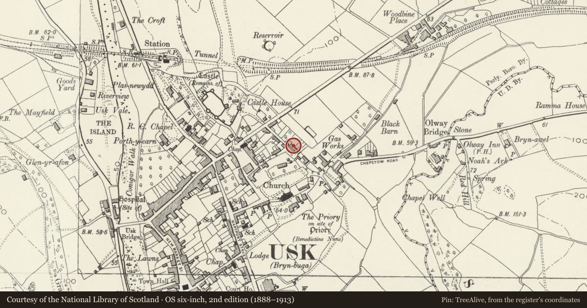 Ordnance Survey six-inch map, 2nd edition (1888–1913) covering the location of Monmouthshire House, including front iron railings, Usk, Monmouthshire, with a pin at the register's coordinates