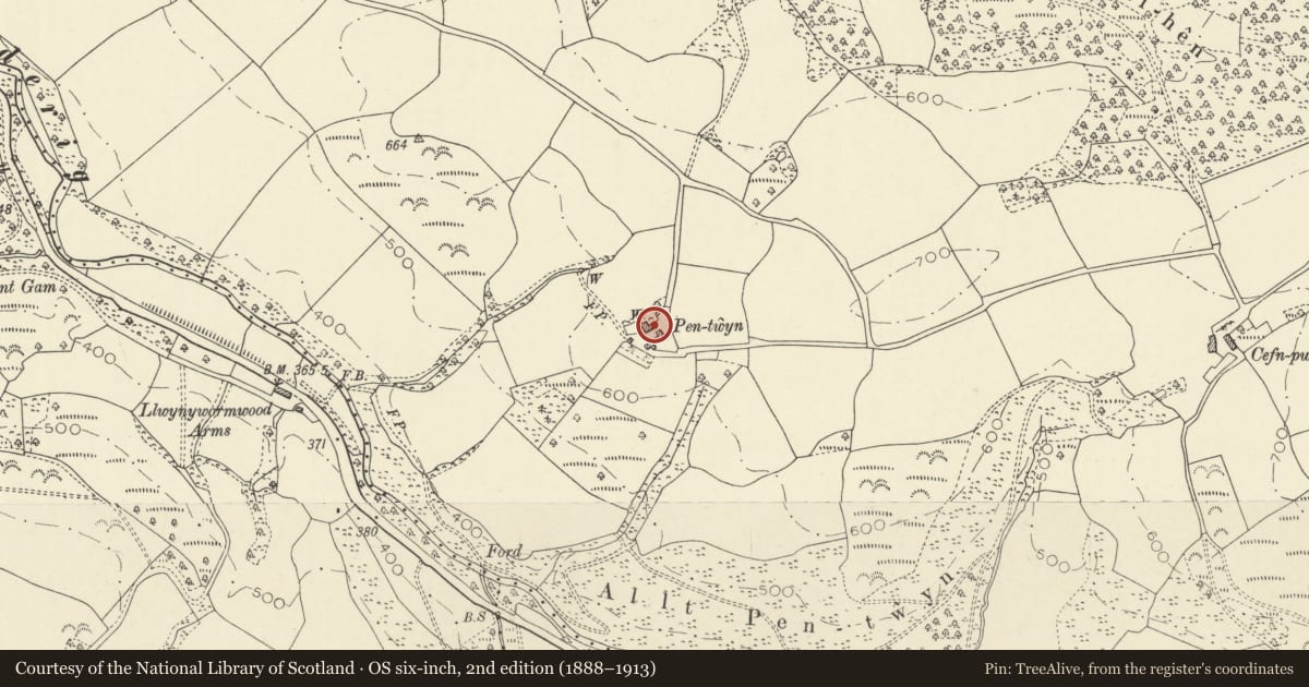 Ordnance Survey six-inch map, 2nd edition (1888–1913) covering the location of Outbuilding to E of Pentwyn, Llanfair-ar-y-Bryn, Carmarthenshire, with a pin at the register's coordinates
