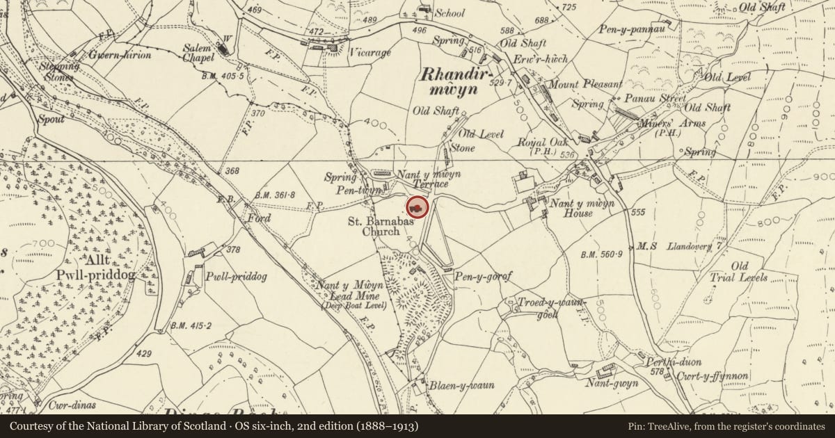 Ordnance Survey six-inch map, 2nd edition (1888–1913) covering the location of Church of St Barnabas, Llanfair-ar-y-Bryn, Carmarthenshire, with a pin at the register's coordinates